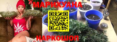мяу мяу мука Гусь-Хрустальный
