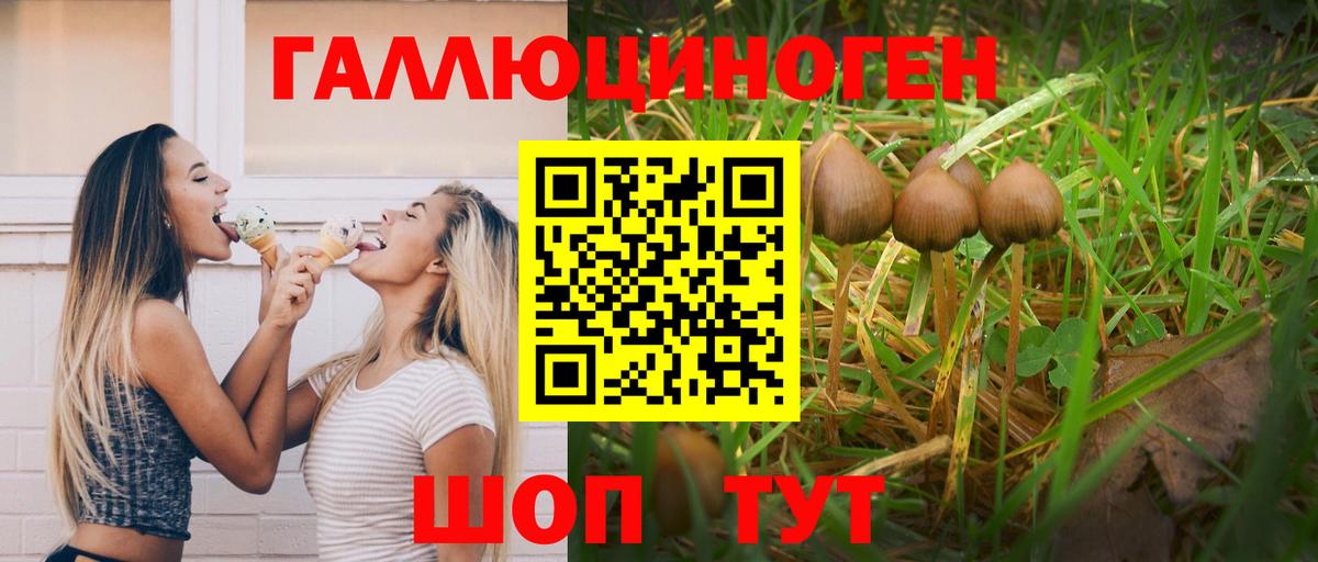 Междуреченск  Псилоцибиновые грибы Psilocybe  Вход с VPN 